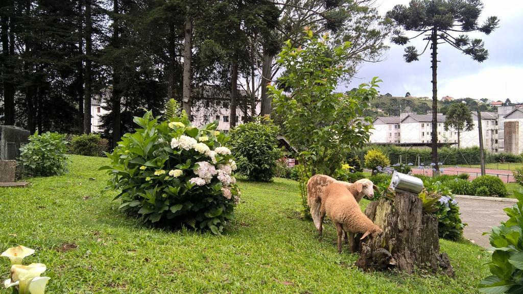 Campos Do Jordao Garden Pousada Colonia Exterior foto